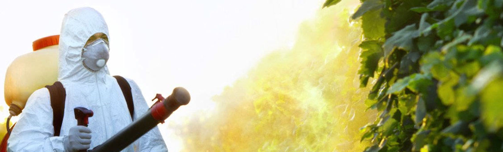 Fumigaciones Zeta SAS