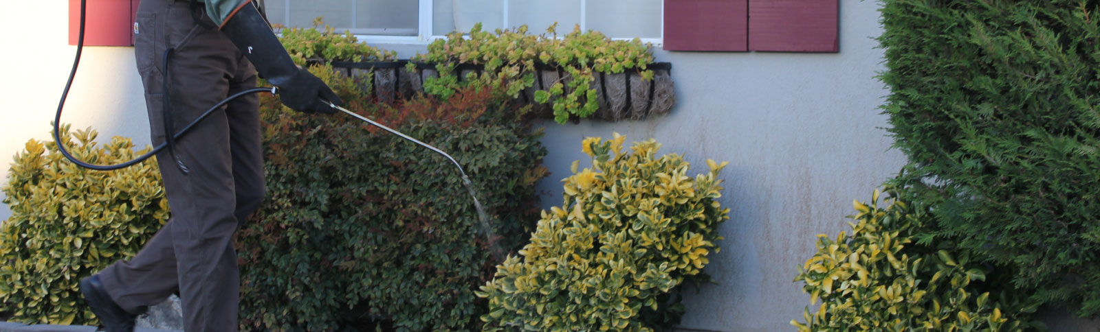 Fumigaciones Zeta SAS